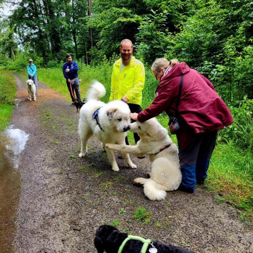 20240706 Training im Regen I