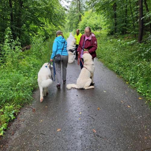 20240706 Training im Regen III